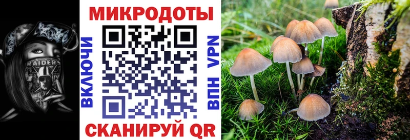 Псилоцибиновые грибы Psilocybine cubensis  darknet телеграм  Николаевск 