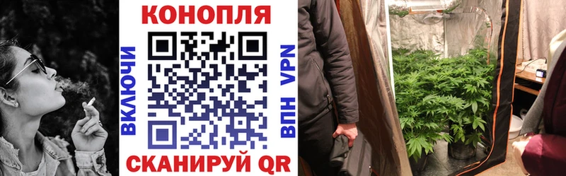 Конопля THC 21%  Николаевск 